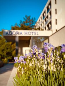 499401347_1222014733044758_4862085311349441253_n