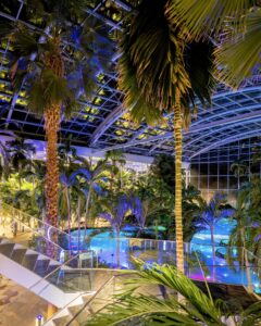 583987479_894919312861356_6628646589747228730_n