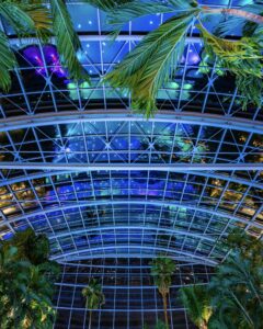 584008262_894919302861357_9019481591649043846_n