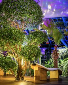 584459913_894919309528023_6583996156305311619_n