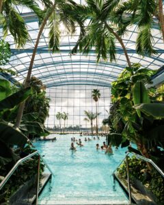 589942040_903258745360746_3786174471129786700_n