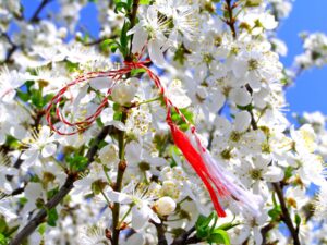 Martisor - romanian symbol of the beginning of spring,Image: 234200927, License: Royalty-free, Restrictions: , Model Release: no