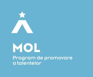 Logo Program