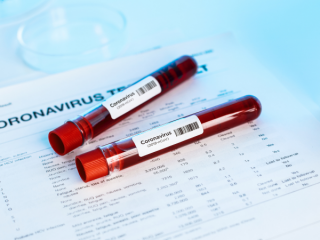 120926755_3537235536297517_240552913603379539_n