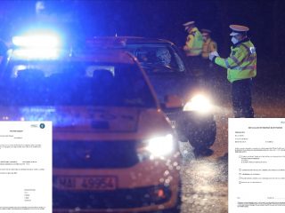 124116962_804157506798481_123802372866014476_n