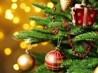 132604515_398529074813228_324928541520581718_n