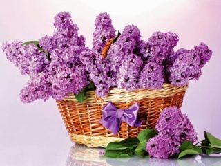 158516440_1128778637584128_4477200741107972641_n