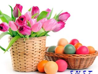 180720033_370108874331623_1666798175651938582_n