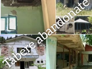 205385788_798368517534274_2570414868327747336_n