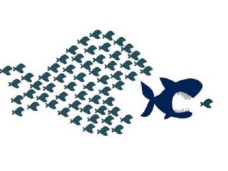 21573167-big-fish-eat-small-fish