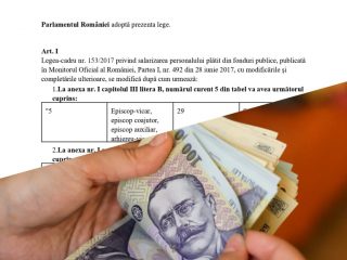 225560933_434075424393668_8435224223138630924_n