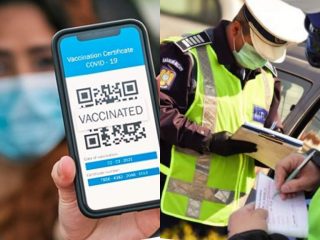 242642129_243035624422434_6872732337907808693_n