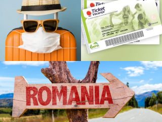 263192575_951793422353193_4716745361662880048_n