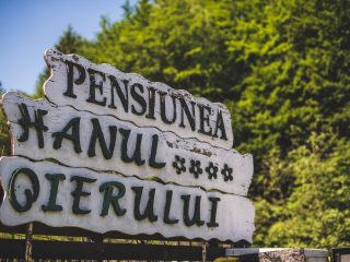 313344475_653252766184147_8730906396130809802_n