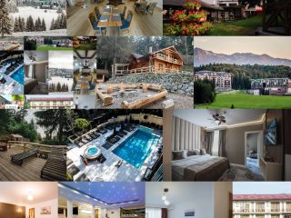 333467786_1570678533412893_7387466457941535389_n