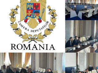 337154287_137018325794732_4312248040667143306_n