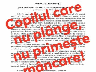 414709863_321436860356538_7471560327362828359_n