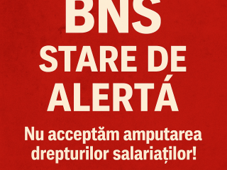 BNS SNST 57300
