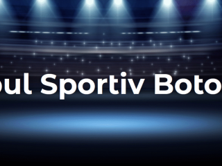 Captură ecran (555)