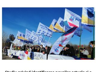 GridArt_20240526_000728456