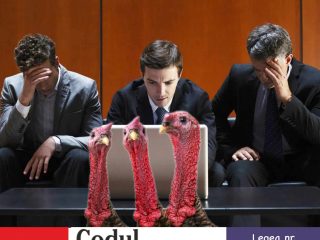 GridArt_20240811_213635616