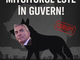 Imagine WhatsApp 2025-07-25 la 23.48.16_1b2189de