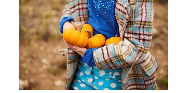 Oferta Voce si Telefoane Orange PUBLISIND - Nov 2020-page-001