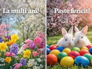 SNST - FLORII - PASTE - f929