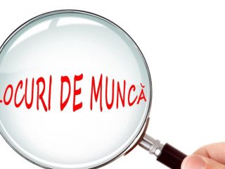 SNST Locuri de munca