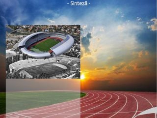 Sinteza auditul performantei MTS 30032020(1)-page-001