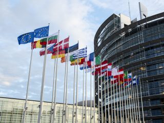 Flags waving in front of the LOW building in Strasbourg