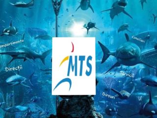 WhatsApp Image 2020-09-13 at 15.20.50