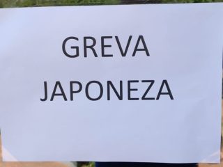 WhatsApp Image 2023-08-10 at 12.41.50