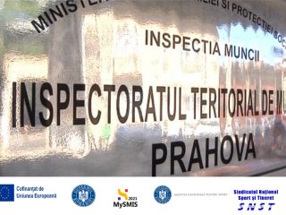 WhatsApp Image 2024-10-18 at 14.33.03_abd13cee