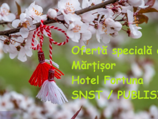 martisor-003-752x440