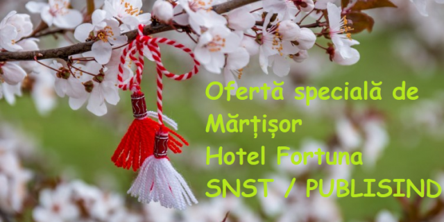 martisor-003-752x440