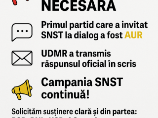 rectificare snstce9