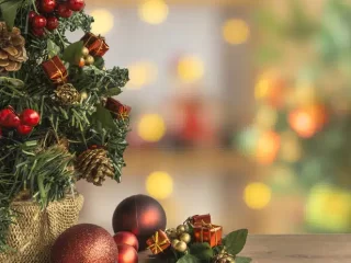 sarbatori fericite snst