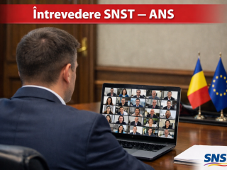 snst ans online 7d