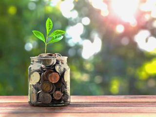 concept money and small tree in jar and sunshine