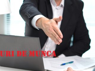 snst locuri de munca.,.