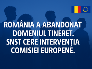 snst ue 9e8e-941ee1fd328b